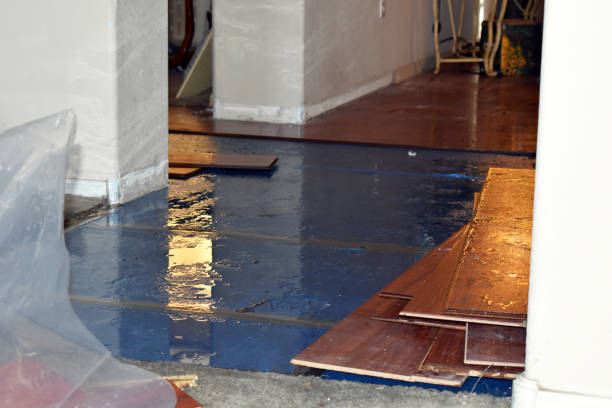 Professional Burst Pipe Cleanup technician working in Lincoln, AR